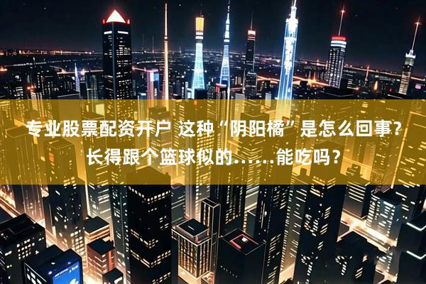 专业股票配资开户 这种“阴阳橘”是怎么回事？长得跟个篮球似的……能吃吗？