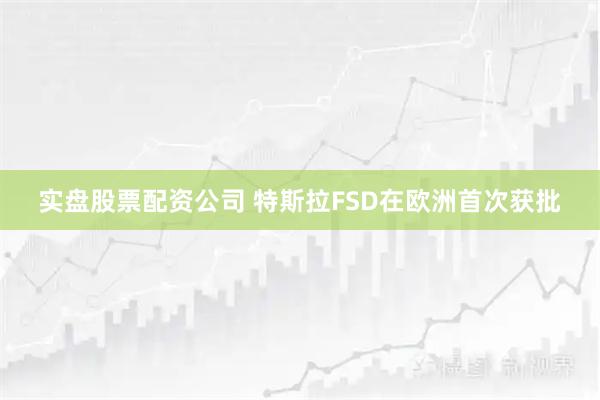 实盘股票配资公司 特斯拉FSD在欧洲首次获批